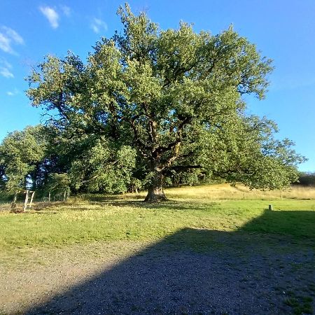 La Tuilerie Hotell Pindray Eksteriør bilde