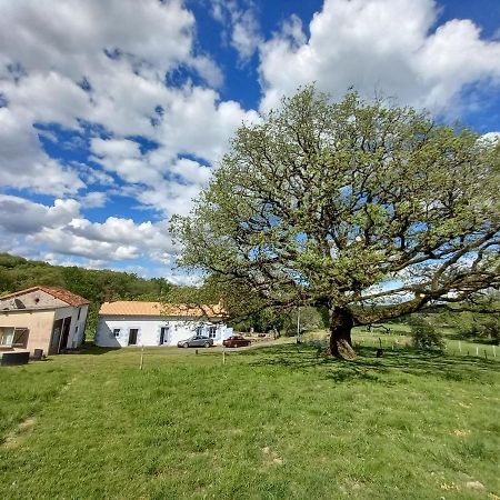 La Tuilerie Hotell Pindray Eksteriør bilde